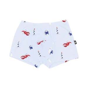 Kyte Baby Briefs in Harbor Size 2THarbor / 2T